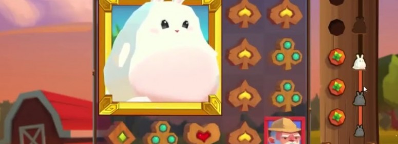 Fat Rabbit